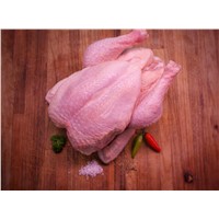 Fresh Chicken Size 18