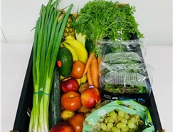 Large Fruit & Vegetable Box